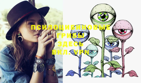 хмурый Михайлов