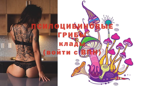 прущая мука Наволоки