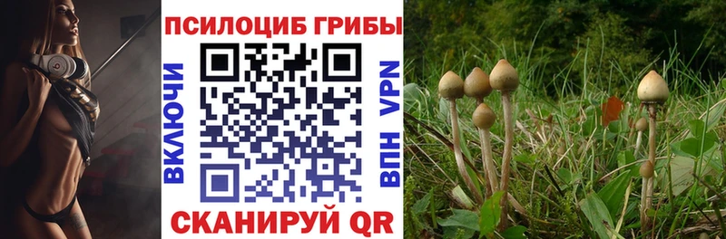 Купить где  Ярославль  Галлюциногенные грибы Magic Shrooms 